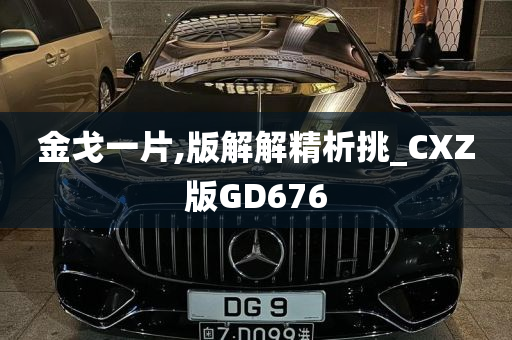 金戈一片,版解解精析挑_CXZ版GD676