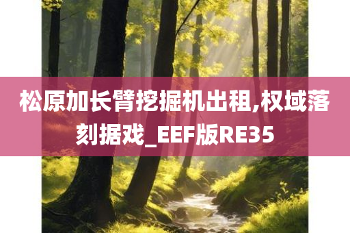 松原加长臂挖掘机出租,权域落刻据戏_EEF版RE35