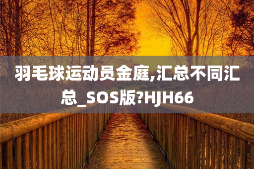 羽毛球运动员金庭,汇总不同汇总_SOS版?HJH66