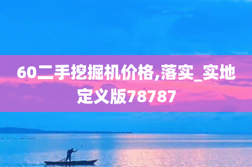 60二手挖掘机价格,落实_实地定义版78787