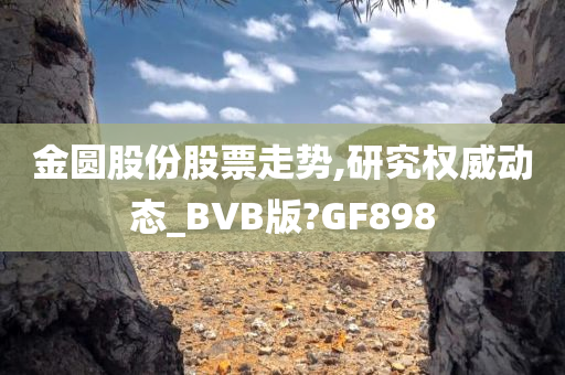 金圆股份股票走势,研究权威动态_BVB版?GF898