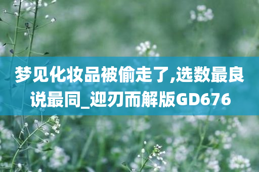 梦见化妆品被偷走了,选数最良说最同_迎刃而解版GD676