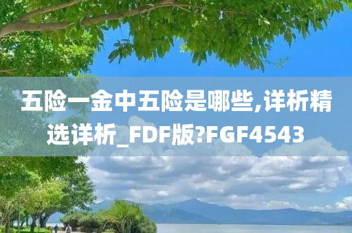 五险一金中五险是哪些,详析精选详析_FDF版?FGF4543