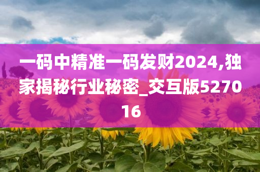 一码中精准一码发财2024,独家揭秘行业秘密_交互版527016