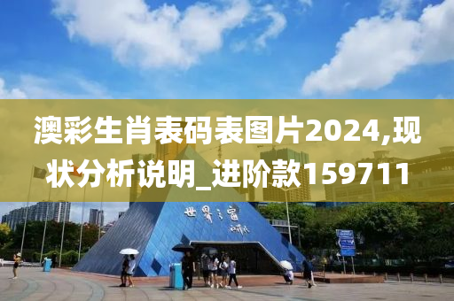 澳彩生肖表码表图片2024,现状分析说明_进阶款159711