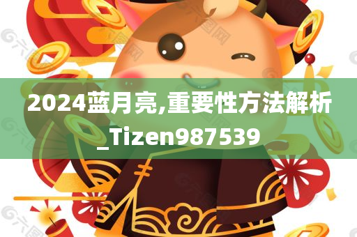 2024蓝月亮,重要性方法解析_Tizen987539