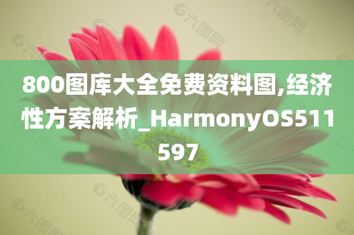 800图库大全免费资料图,经济性方案解析_HarmonyOS511597