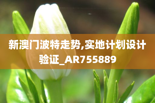 新澳门波特走势,实地计划设计验证_AR755889