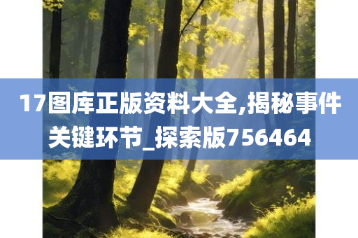 17图库正版资料大全,揭秘事件关键环节_探索版756464