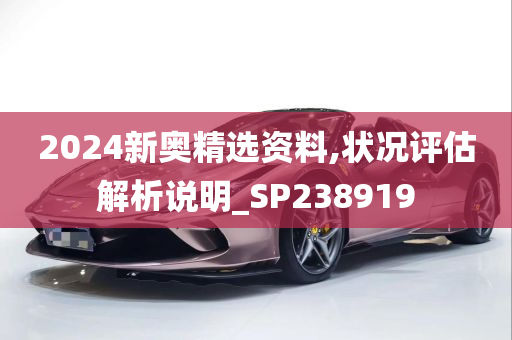 2024新奥精选资料,状况评估解析说明_SP238919