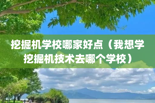 挖掘机学校哪家好点（我想学挖掘机技术去哪个学校）