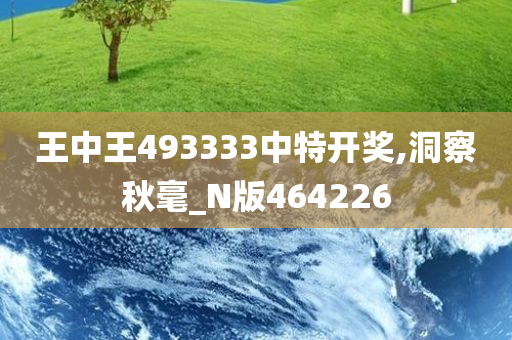 王中王493333中特开奖,洞察秋毫_N版464226