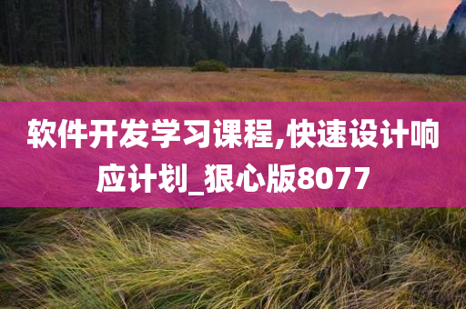 软件开发学习课程,快速设计响应计划_狠心版8077