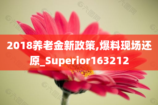 2018养老金新政策,爆料现场还原_Superior163212