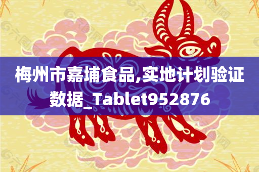 梅州市嘉埔食品,实地计划验证数据_Tablet952876