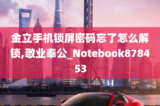 金立手机锁屏密码忘了怎么解锁,敬业奉公_Notebook878453