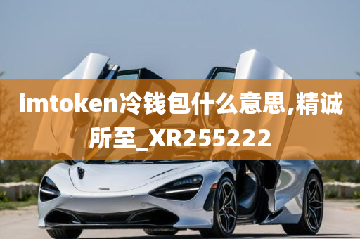 imtoken冷钱包什么意思,精诚所至_XR255222