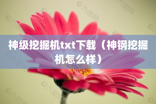 神级挖掘机txt下载（神钢挖掘机怎么样）