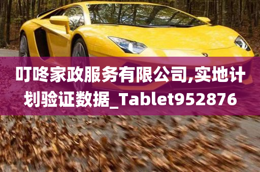 叮咚家政服务有限公司,实地计划验证数据_Tablet952876