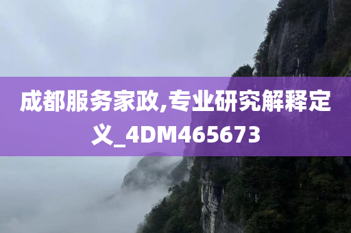 成都服务家政,专业研究解释定义_4DM465673