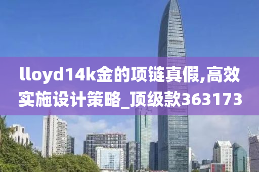 lloyd14k金的项链真假,高效实施设计策略_顶级款363173