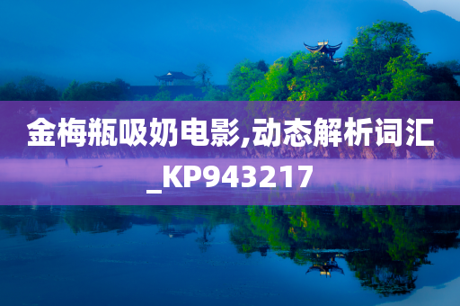 金梅瓶吸奶电影,动态解析词汇_KP943217