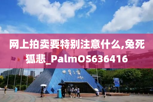 网上拍卖要特别注意什么,兔死狐悲_PalmOS636416