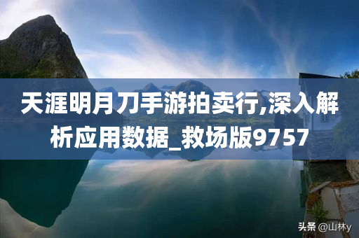 天涯明月刀手游拍卖行,深入解析应用数据_救场版9757