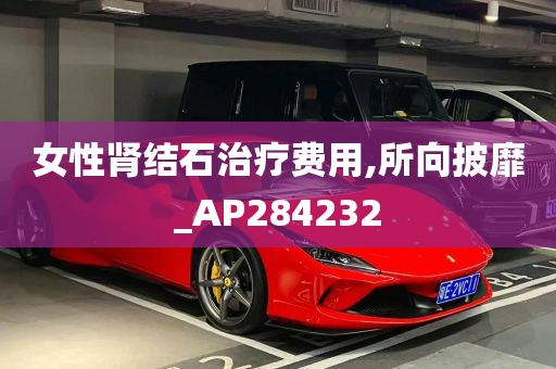 女性肾结石治疗费用,所向披靡_AP284232