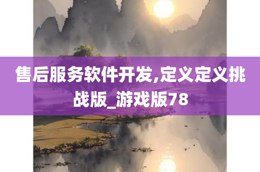 售后服务软件开发,定义定义挑战版_游戏版78