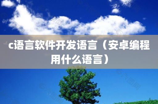 c语言软件开发语言（安卓编程用什么语言）