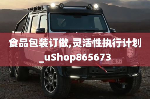 食品包装订做,灵活性执行计划_uShop865673