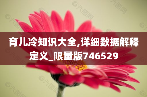 育儿冷知识大全,详细数据解释定义_限量版746529