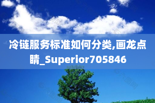 冷链服务标准如何分类,画龙点睛_Superior705846