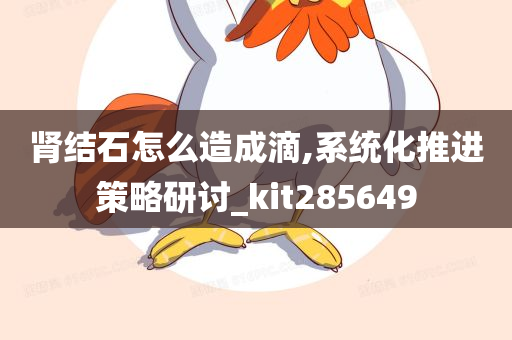 肾结石怎么造成滴,系统化推进策略研讨_kit285649