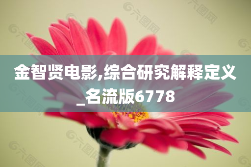 金智贤电影,综合研究解释定义_名流版6778