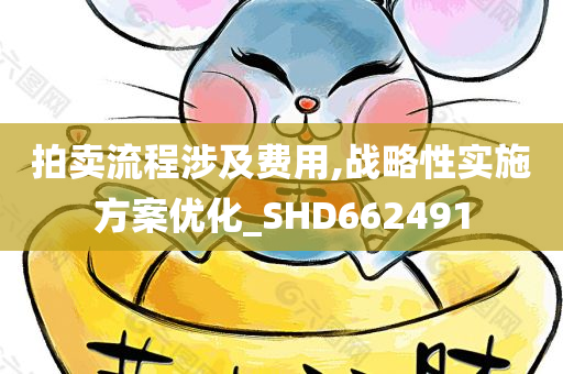 拍卖流程涉及费用,战略性实施方案优化_SHD662491