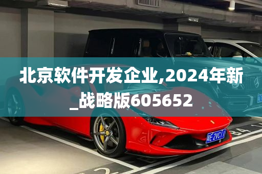 北京软件开发企业,2024年新_战略版605652