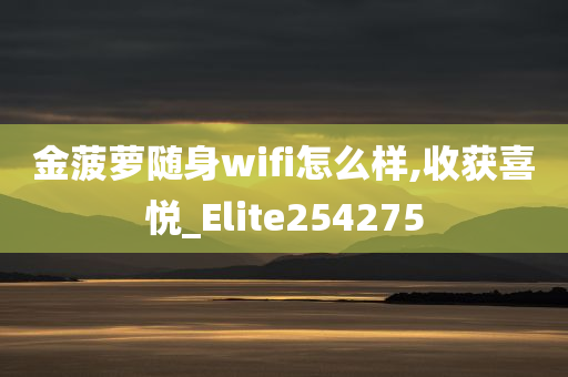 金菠萝随身wifi怎么样,收获喜悦_Elite254275