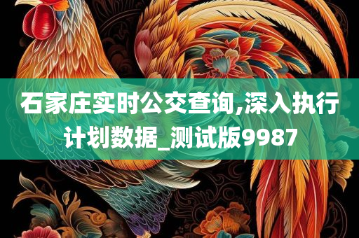 石家庄实时公交查询,深入执行计划数据_测试版9987