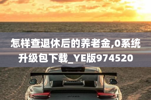 怎样查退休后的养老金,0系统升级包下载_YE版974520