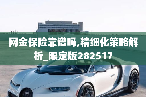 网金保险靠谱吗,精细化策略解析_限定版282517