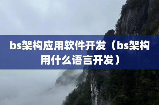 bs架构应用软件开发（bs架构用什么语言开发）