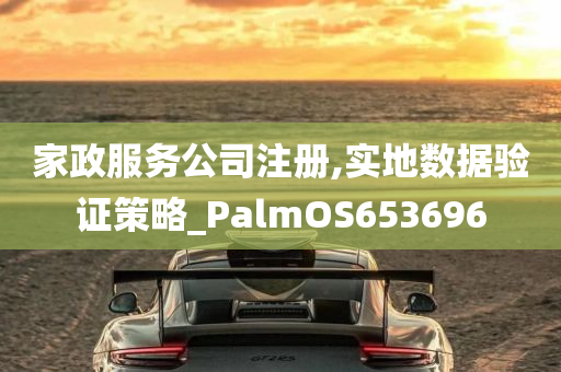 家政服务公司注册,实地数据验证策略_PalmOS653696