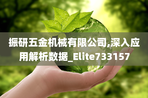 振研五金机械有限公司,深入应用解析数据_Elite733157