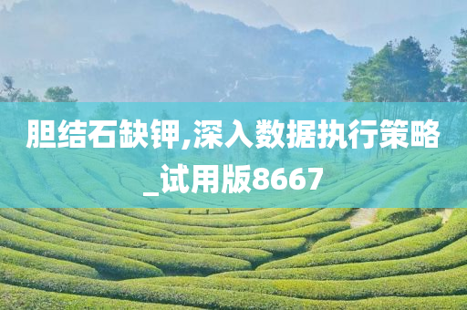 胆结石缺钾,深入数据执行策略_试用版8667