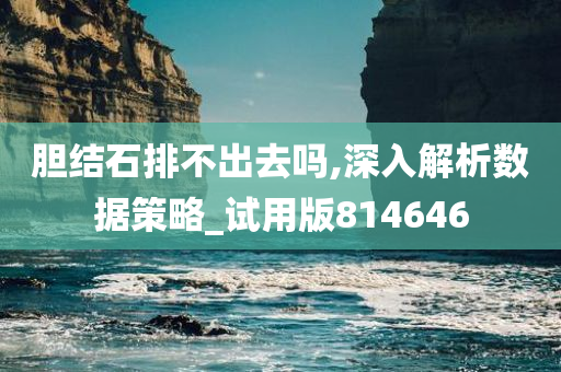 胆结石排不出去吗,深入解析数据策略_试用版814646