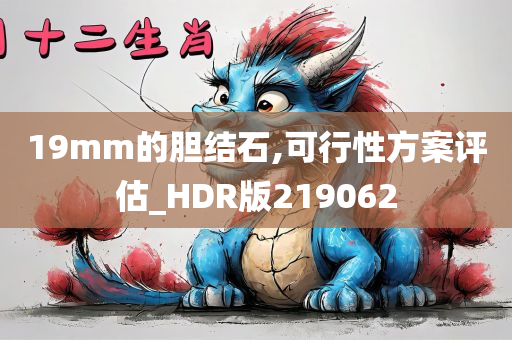 19mm的胆结石,可行性方案评估_HDR版219062