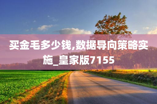 买金毛多少钱,数据导向策略实施_皇家版7155