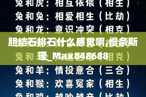 胆结石排石什么感觉啊,慢条斯理_Max848688